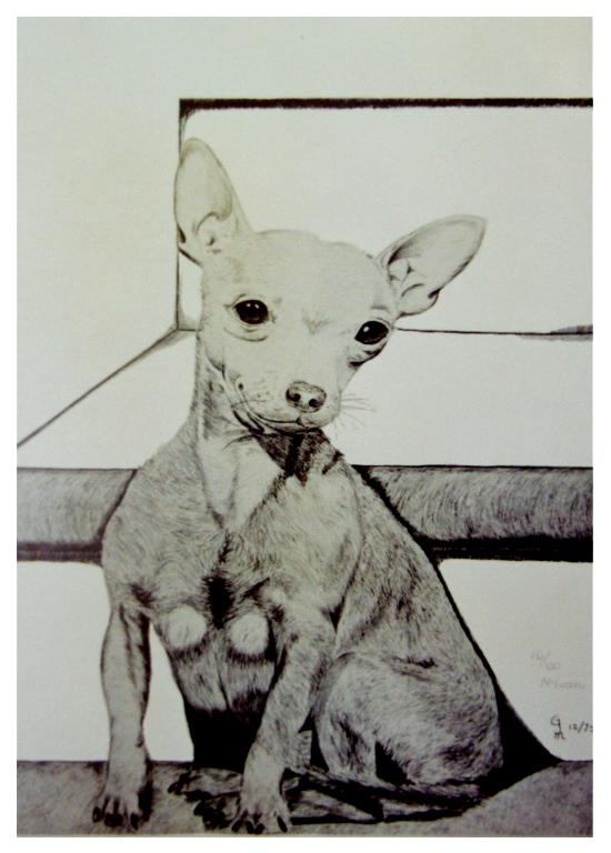 1978ink_drawing_litho