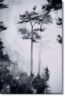 Deception Pass