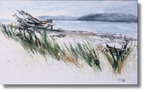 Rathtrevor Beach