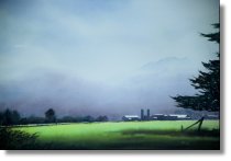 Sumas Prairie IV