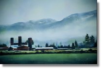 Sumas Prairie